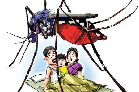 इन घरेलू नुस्खों से पाइए मच्छरों से छुटकारा