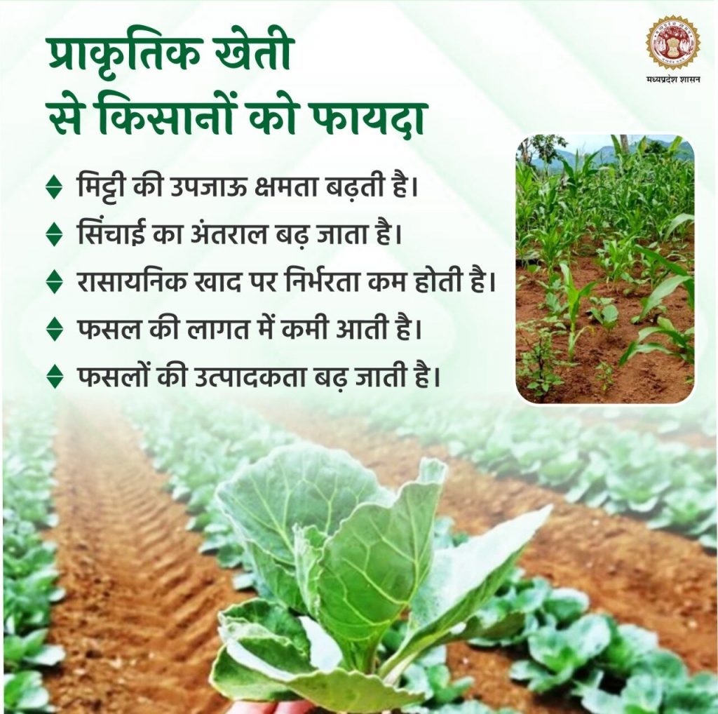 किसान प्राकृतिक खेती एवं कृषि का विविधीकरण करें : मुख्यमंत्री श्री चौहान