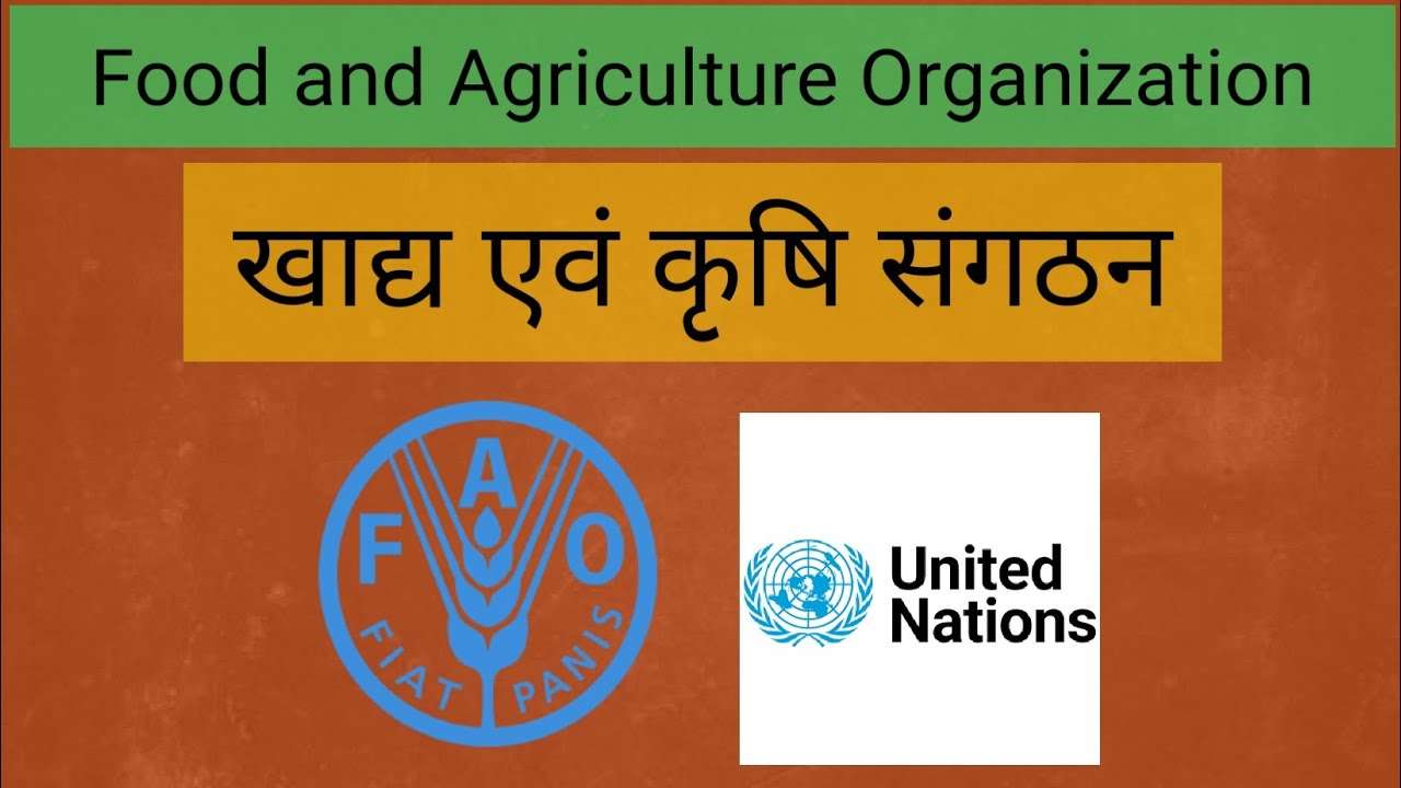 Food and agriculture organization